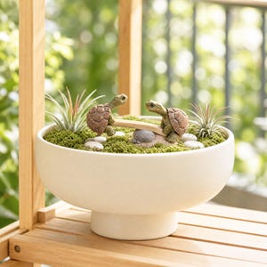 Peut inclure: Un bol sur pied en céramique blanche rempli de mousse verte, deux petites figurines de tortues brunes sur une bascule en bois, des galets blancs et deux plantes aériennes. Les tortues sont placées aux extrémités de la bascule sur une pierre grise.