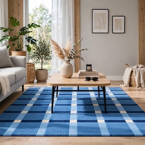 May include: A rectangular area rug featuring a blue, light blue, and white plaid pattern. The rug has a grid design with intersecting horizontal and vertical lines of varying shades of blue and white, creating a structured, geometric look on the floor.