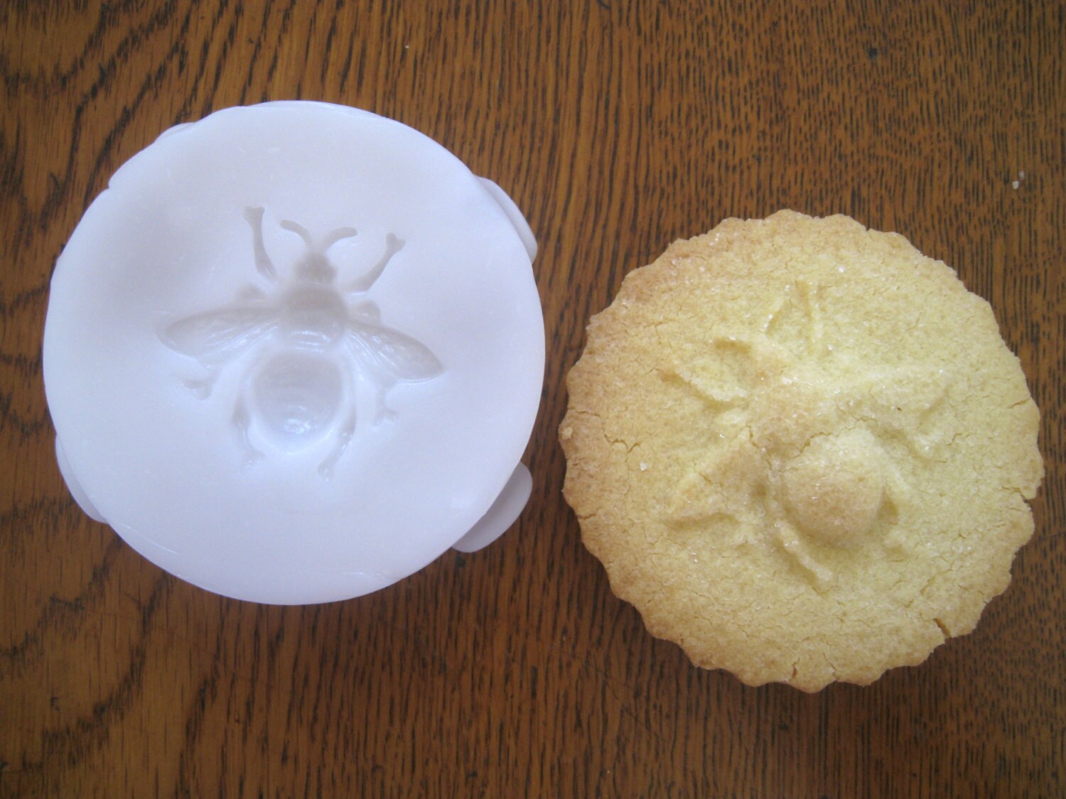 BUG COOKIE STAMP recipe and instructions make your own Etsy
