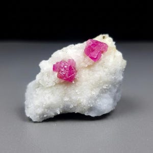 May include: A raw mineral specimen featuring two vibrant, deep pink, crystalline structures embedded within a textured, off-white, granular matrix. The crystalline formations exhibit sharp, geometric facets and a translucent quality against the rough, pale stone base.