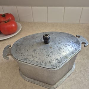 May include: A silver-colored metal pot with a textured finish and an oval shape. It features two side handles and a matching lid with a small, dark, rounded knob centered on top. The surface of the lid shows a mottled, weathered appearance.