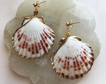 Large Seashell Golden Statement Earrings // Cockle Clam Pink White Natural Shell Oversized Dangle Statement Mermaid Beach Boho Earrings