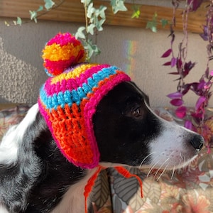Pode incluir: Um gorro de crochê para animal de estimação com listras horizontais vibrantes em rosa neon, laranja brilhante, amarelo e azul turquesa. O gorro inclui abas para as orelhas, longos laços laranja para prender sob o queixo e um pompom multicolorido.