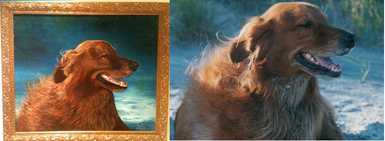 Custom Dog Portrait Oil Painting From Photo Bereavement Gift Memorial Animal Painting Rainbow Bridge Loss Sympathy Tribute Keepsake image 5