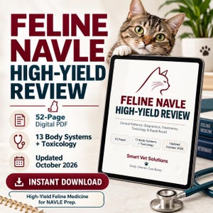 May include: A digital PDF study guide titled FELINE NAVLE HIGH-YIELD REVIEW, featuring a cat illustration, 52 pages, 13 body systems, toxicology, and an October 2026 update date. The document is displayed on a tablet screen next to a stethoscope.