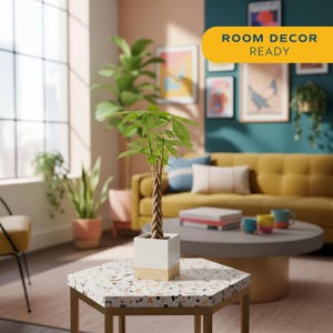 Puede incluir: Una planta de dinero trenzada en una maceta cuadrada de cerámica blanca y tostada con relieve, sobre una mesa hexagonal con superficie de terrazo moteado. La imagen incluye un gráfico amarillo en la esquina superior derecha con el texto ROOM DECOR READY.