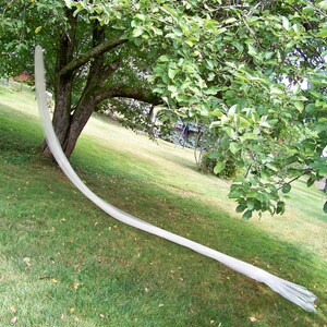 May include: A long, white tulle veil draped over a green grassy lawn, with a tree in the background.