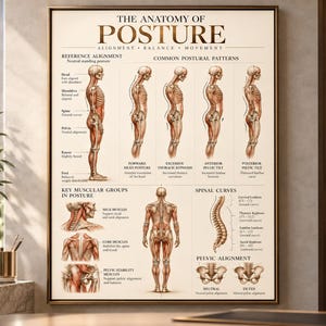 Può includere: Un poster educativo rettangolare intitolato The Anatomy of Posture che presenta illustrazioni anatomiche dello scheletro umano, delle curve spinali e dell'allineamento pelvico, con etichette di testo che descrivono i modelli posturali.