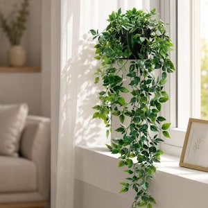 May include: A trailing artificial green plant with small, pointed leaves arranged in a dense cluster. The plant is contained within a simple black pot, with long, leafy stems cascading downward, creating a lush and vibrant appearance.