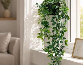 May include: A trailing artificial green plant with small, pointed leaves arranged in a dense cluster. The plant is contained within a simple black pot, with long, leafy stems cascading downward, creating a lush and vibrant appearance.