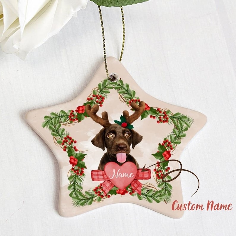 Custom Pet Ornament Custom Dog Ornament Pet Ornament Dog image 1