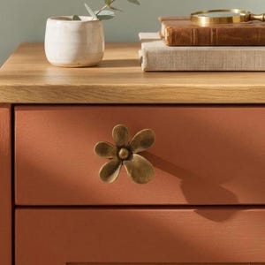 May include: A terracotta-colored wooden drawer featuring a brass-toned metal flower-shaped knob. The drawer is topped with a light wood surface holding a small white ceramic pot with a green plant and two stacked books with a gold magnifying glass.