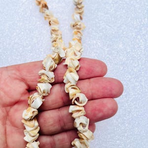 vintage Genuine Shell and Wood Necklace 18” length beach Necklace Florida Shell Necklace Beach Party accessories