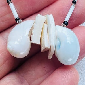 Vintage Seashell necklace 18 1/2” Genuine shells beaded necklace Tropical necklace for women and girls