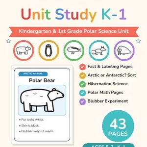 Winter Worksheets Bundle Kindergarten | Winter Mega Bundle, Winter Science, Unit Studies, Morning Basket, Homeschool Printable image 5