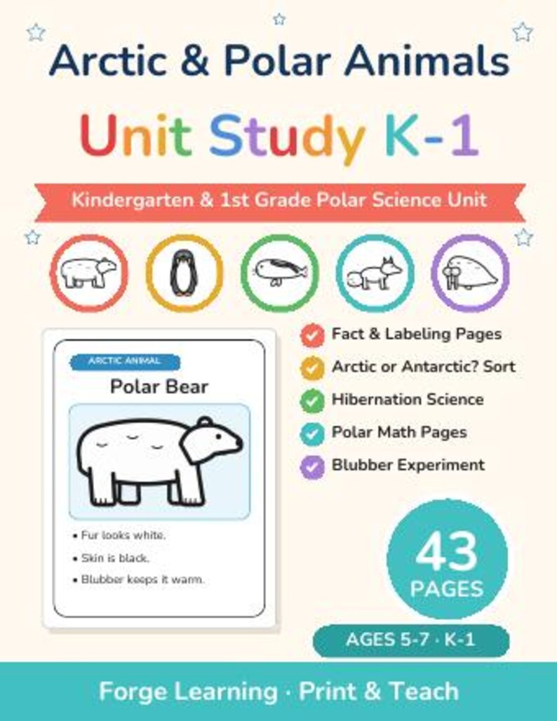 Winter Worksheets Bundle Kindergarten | Winter Mega Bundle, Winter Science, Unit Studies, Morning Basket, Homeschool Printable image 5