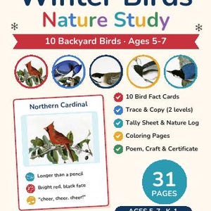 Winter Worksheets Bundle Kindergarten | Winter Mega Bundle, Winter Science, Unit Studies, Morning Basket, Homeschool Printable image 7