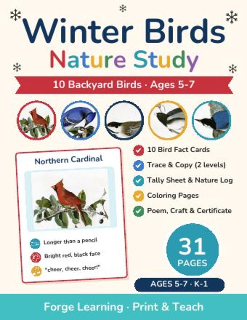 Winter Worksheets Bundle Kindergarten | Winter Mega Bundle, Winter Science, Unit Studies, Morning Basket, Homeschool Printable image 7