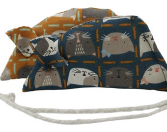 Ritratti, confezione da due topolini di erba gatta su sfondo zenzero e su sfondo fumo