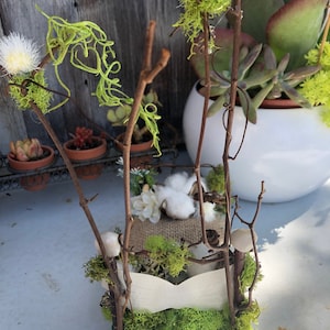 Fairy Bed 2
