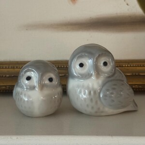 May include: Two porcelain owl figurines with a glossy finish. The smaller owl on the left and the larger owl on the right both feature a soft gray and white color palette with detailed feather markings and dark, round eyes.