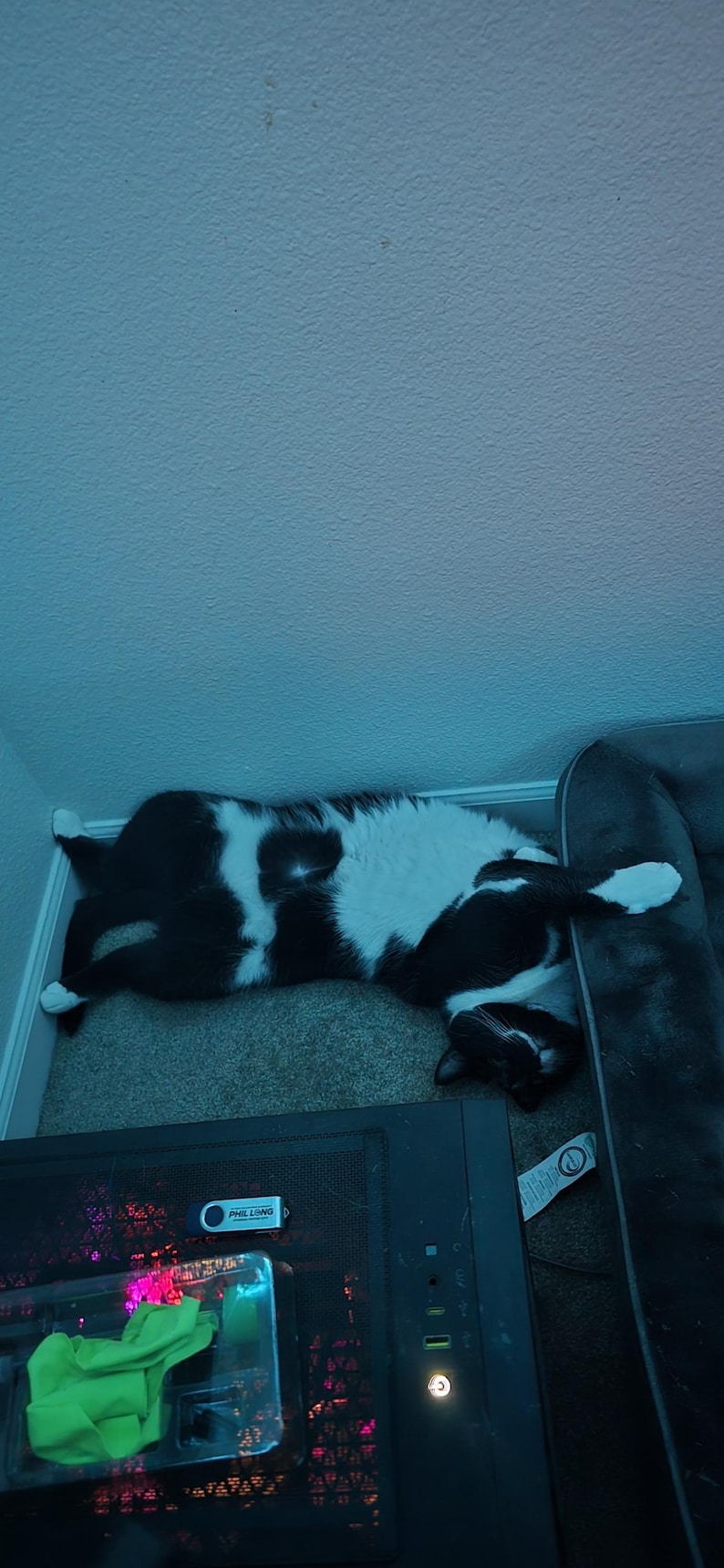 May include: A black and white cat lying on its side on a carpeted floor. The cat has a black back and head with white markings on its chest, face, and paws. It is positioned in a corner near a dark gray pet bed and a black computer tower.