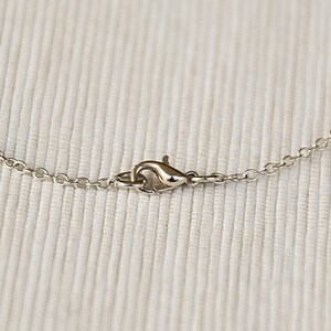 May include: A silver chain necklace with a lobster clasp closure.