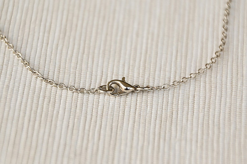 May include: A silver chain necklace with a lobster clasp closure.