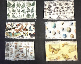 Könnte beinhalten: Sechs Stoffmuster mit Naturmotiven. Designs umfassen Farne, Schmetterlinge, Eier, Pilze und Motten. Jedes Muster hat einen weißen, ausgefransten Rand. Die Drucke zeigen detaillierte Illustrationen in Grün-, Braun- und Gelbtönen auf weißem Hintergrund.