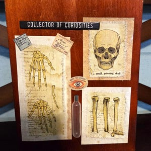 Tim Holtz Eclectic LaboratoryTheme Slide Box