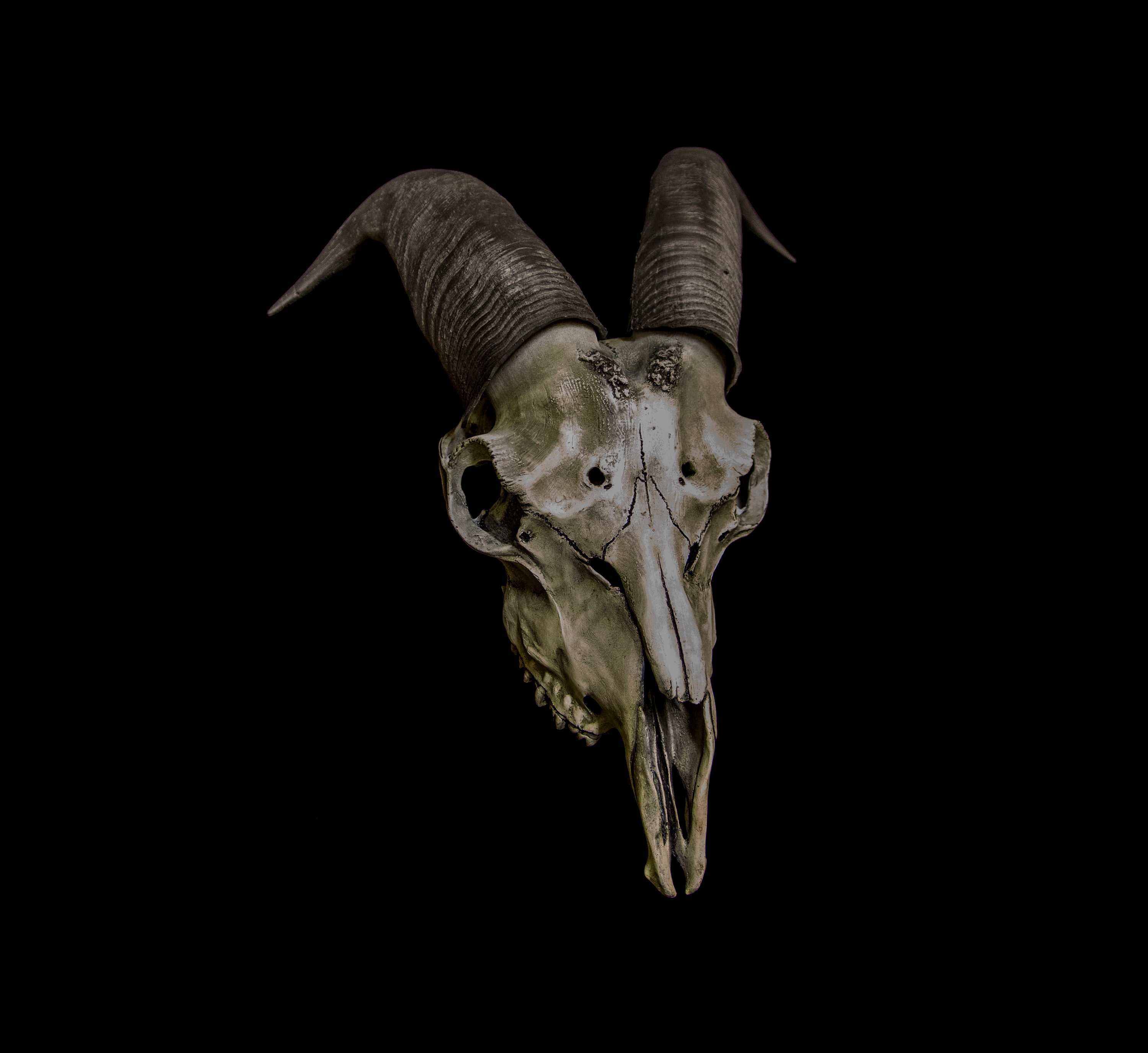 Goat Skull Baphomet