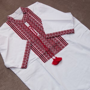 ¡PRECIO DE VENTA REDUCIDO! Camisa ucraniana bordada para hombres. Talla S Vyshyvanka, bordado tradicional ucraniano. Ucrania ropa, camisas populares