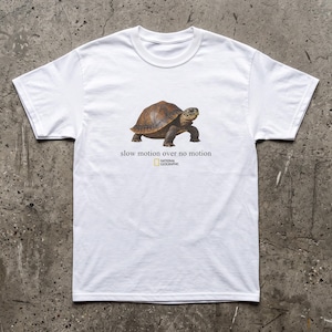 Puede incluir: Una camiseta blanca de manga corta con un gráfico de una tortuga marrón en el centro. Debajo de la tortuga, el texto dice "slow motion over no motion" seguido del logotipo de National Geographic en amarillo y negro.