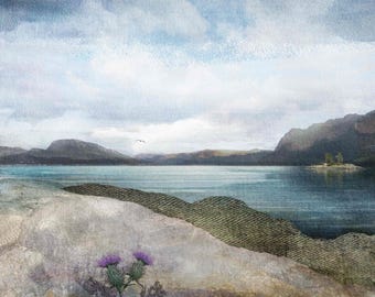 Impresión artística de Plockton Thistles, Tierras Altas de la Costa Oeste, Escocia