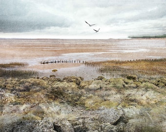 Lámina artística firmada de Tayport Fife: Paisaje marino escocés de Carol McEwan