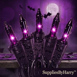 May include: A string of five purple incandescent light bulbs with black bases and black wires. Each bulb emits a bright purple glow and is covered in small water droplets. The text SuppliesByHarry is visible in the bottom right corner.