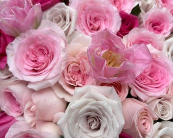 May include: A dense arrangement of flowers featuring numerous roses in various shades of pink, ranging from pale blush and soft pastel pink to vibrant magenta and deep fuchsia, interspersed with a few light pink tulips with visible petals.