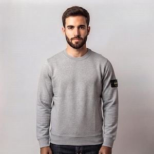 May include: A light gray long-sleeve crewneck sweatshirt featuring a ribbed collar, cuffs, and hem. A black, yellow, and green compass-style patch logo is attached to the upper left sleeve. The garment is made of a solid-colored cotton fabric.