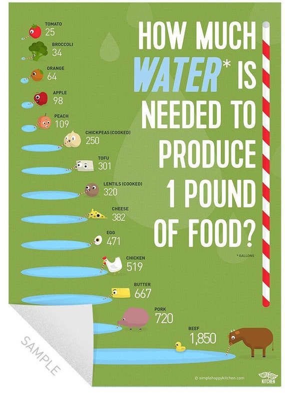 How much water is needed to produce food print Etsy