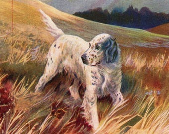 Antique English Setter Art Print 1931 Ward Binks English Setter Hunting Dog Illustration Lodge Cottage Home Decor  12699