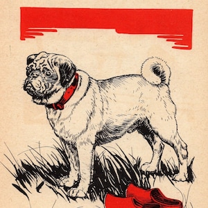 1940 Antique Pug Print Wall Art Decor Diana Thorne Pug Illustration Gallery Wall Art Birthday Gift for Anniversary Friend 1619j