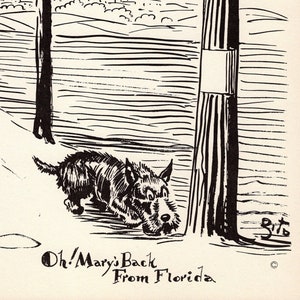 Humorous Scottish Terrier Print Wall Art Decor 1930s Funny  Scottie Illustration by Zito Gallery Wall Decor Gift for Birthday 8516j