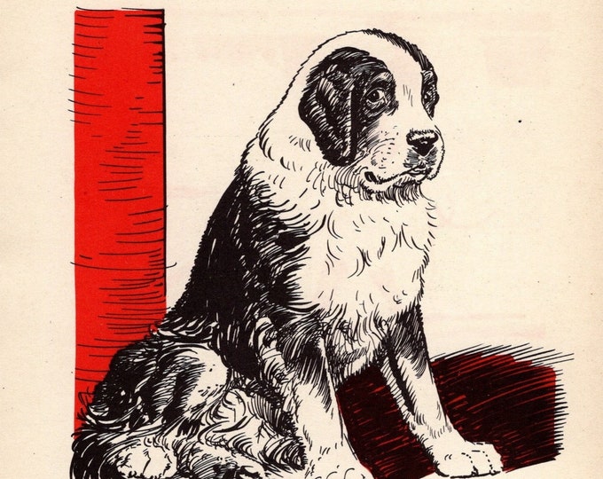 1940 Vintage St Bernard Print Wall Art Decor Diana Thorne Saint Bernard Print Gallery Wall Art ...
