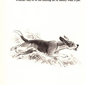 1940er Jahre Vintage BEAGLE Poetry Print Wand Kunst Dekor Morgan Dennis Beagle Gedicht Druck Illustration Haustier Kunst Geburtstag Geschenk Idee 10586a