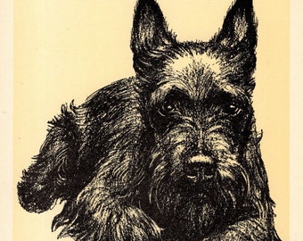 Sweet Scottish Terrier Print Wall Art Decor 1930s Cleanthe Carr Scottie Dog Illustration Gallery Wall Art Birthday Gift 2406d