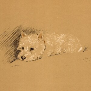 1940 Antique West Highland White Terrier Print Wall Art Decor Vintage Lucy Dawson Westie Illustration Gift for Birthday Friend 8238b