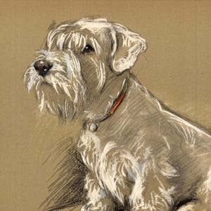 Sealyham Terrier Print 1940s Lucy Dawson Bundle Sealyham Illustration Wall Art Decor Gift for Birthday 11013e