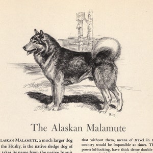 1942 Alaskan Malamute Print Wall Art Decor Vintage Edwin Megargee Sled Dog Art Print Birthday Gift Malamute Wall Art Home Decor 6037v