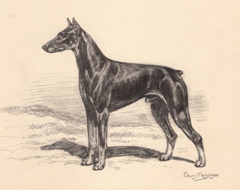 Vintage Doberman Pinscher Print Wall Art Decor 1942 Edwin Megargee Doberman Illustration Birthday Gift Wall Art Home Decor 7797u