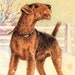 see more listings in the Vintage Dog - Cat Prints section